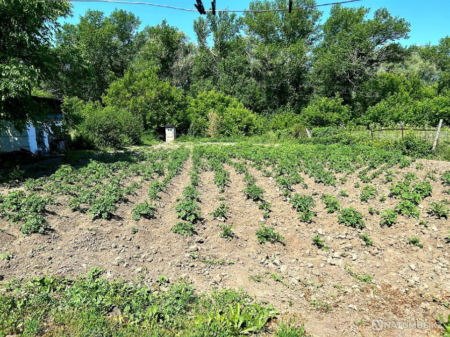 Продам  дом Усть-Каменогорск - изображение 7