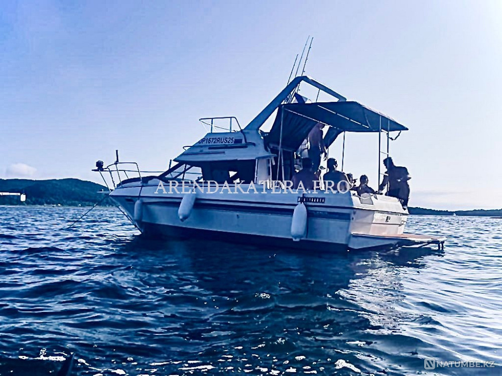 Лот №4 Владивосток - изображение 1