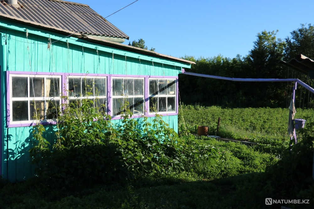 House for rent in Verkhneberezovka Ust-Kamenogorsk - photo 8