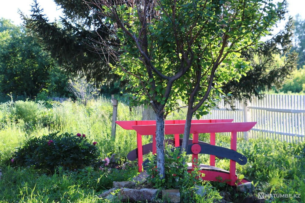 House for rent in Verkhneberezovka Ust-Kamenogorsk - photo 6