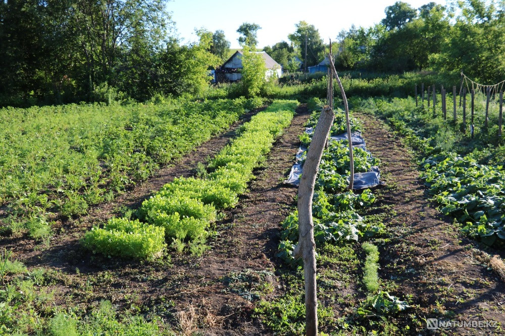 House for rent in Verkhneberezovka Ust-Kamenogorsk - photo 7