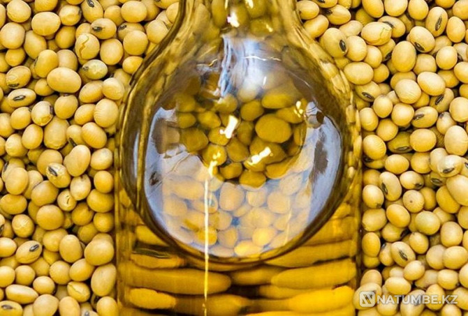 Wholesale sale of soybean oil Moscow - photo 4