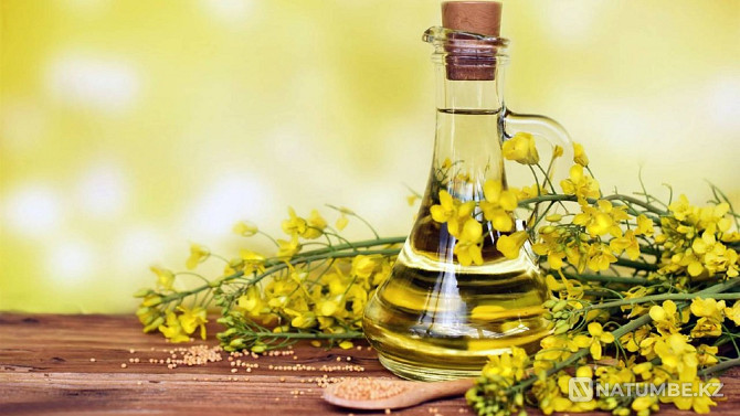 Rapeseed RD from the manufacturer Moscow - photo 4