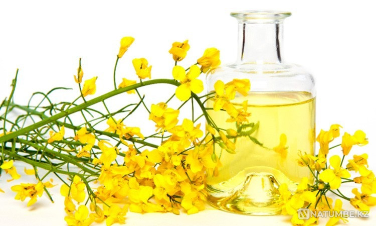 Өндірушіден рапс RD Москва - изображение 7