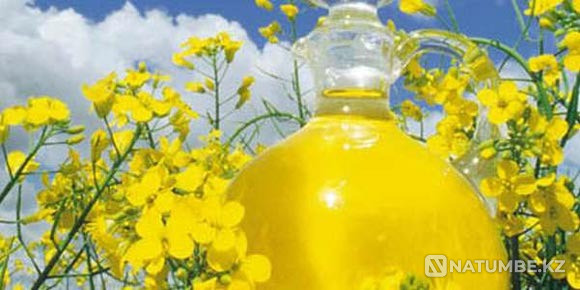 Өндірушіден рапс RD Москва - изображение 6