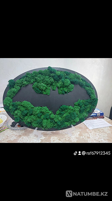 Paintings made from stabilized moss Almaty - photo 5