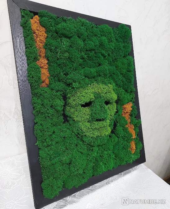 Paintings made from stabilized moss Almaty - photo 1