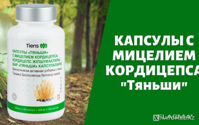 Кордицепс Туркестан - изображение 1