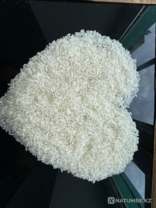 Продается рис Кызылорда - изображение 1