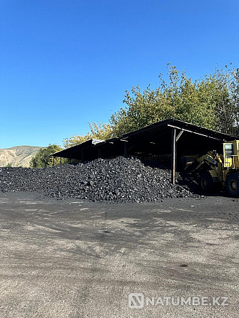 Sale of a coal depot with a railway dead-end Almaty - photo 3