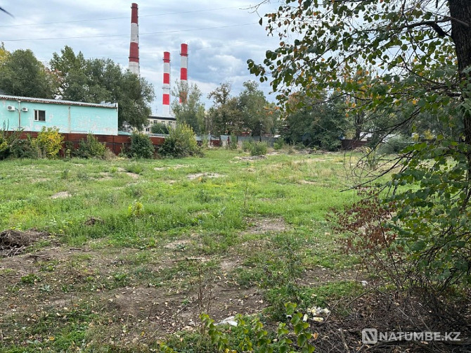 Selling a plot of 51 acres Almaty - photo 1