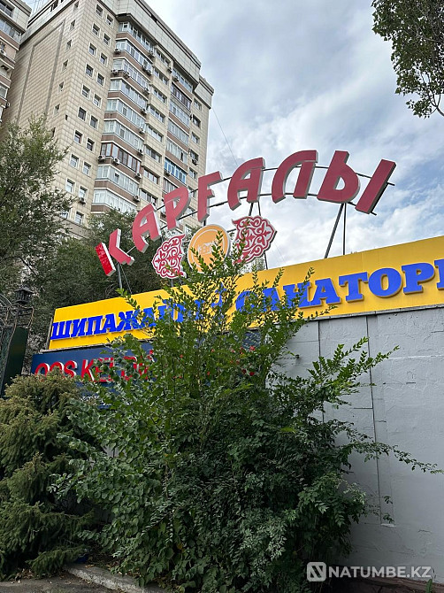 Selling a plot of 51 acres Almaty - photo 3