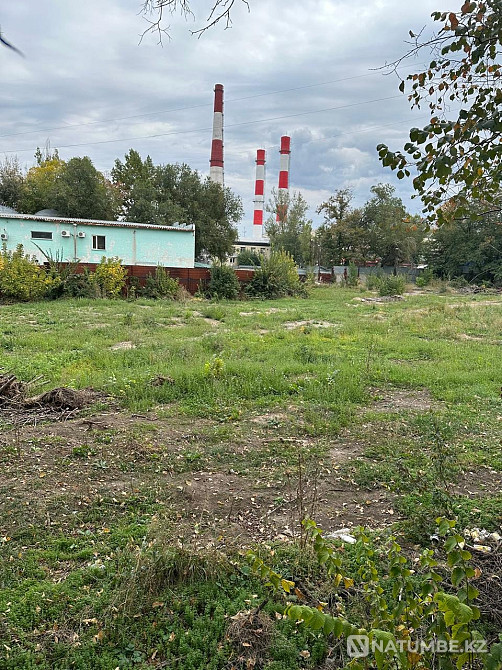 Selling a plot of 51 acres Almaty - photo 2