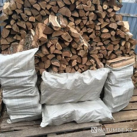 Birch firewood sawn in bags Taraz - photo 3