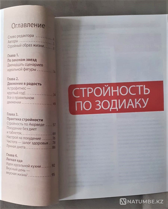 Набор журнала Оракул (8 экз Костанай - изображение 6