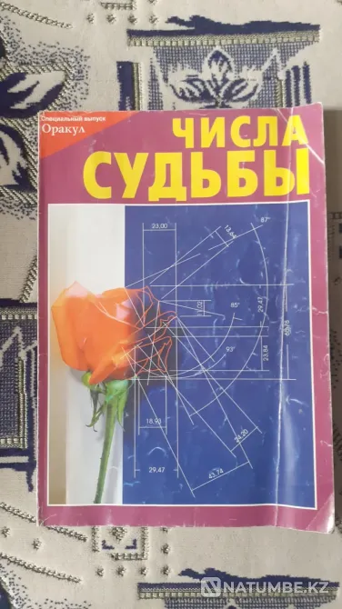 Набор журнала Оракул (8 экз Костанай - изображение 3