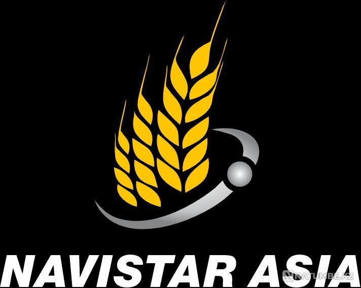 Юрист Кокшетау - изображение 1