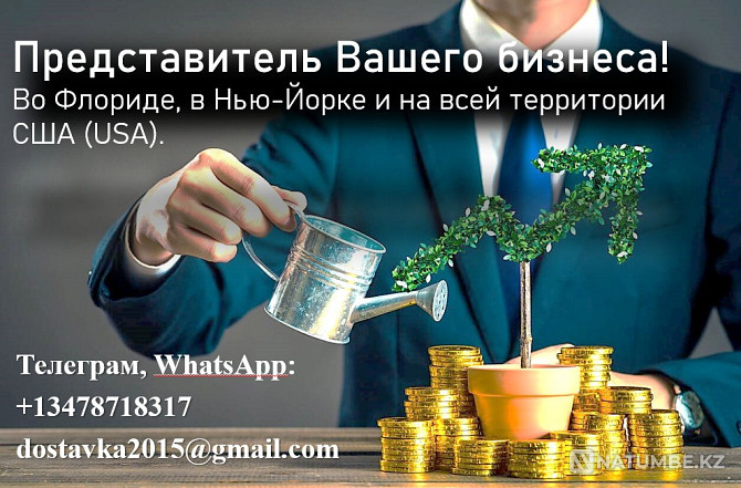 I will represent your interests and business in the USA Astana - photo 1