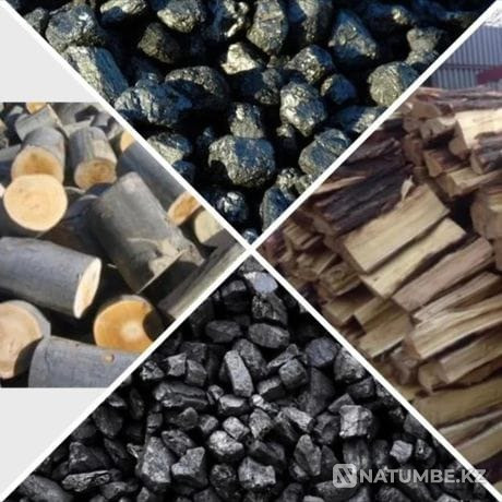 Дрова доставка по городу Семей - изображение 6