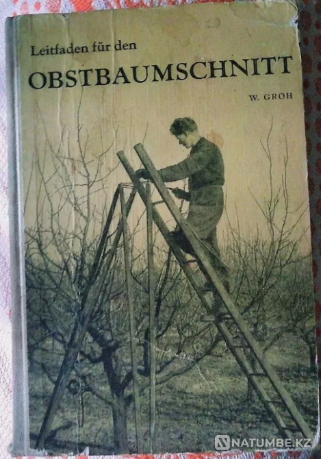 W.Groh Obstbaumschnitt 1967 Kostanay - photo 1