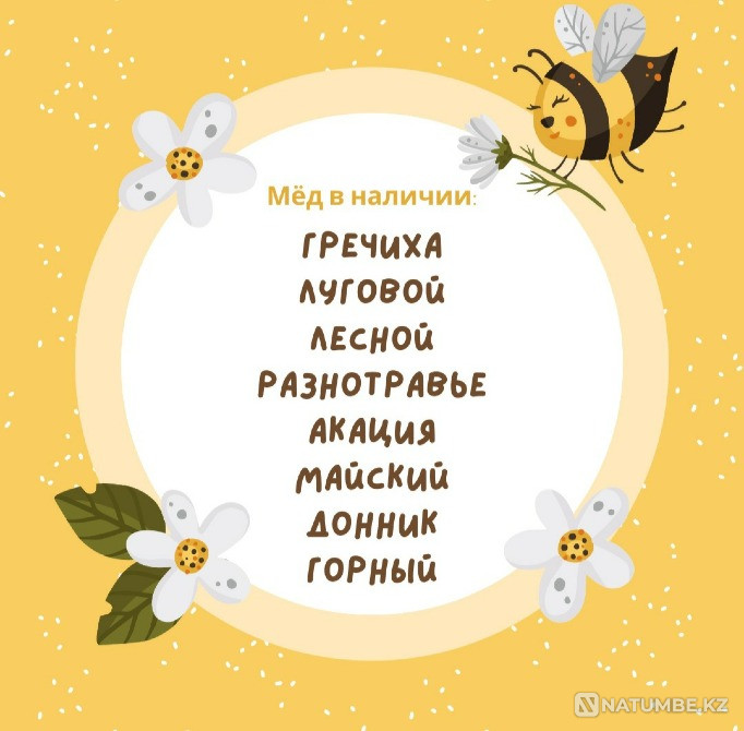 Ust-Kaman honey varieties at 1500 per 1 kg Astana - photo 1