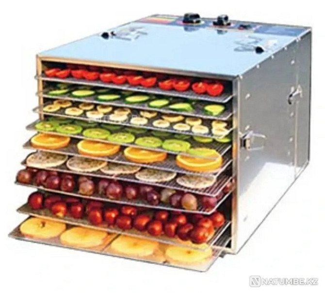 Dehydrator Hurakan HKN-DHD10 is designed for Almaty - photo 1