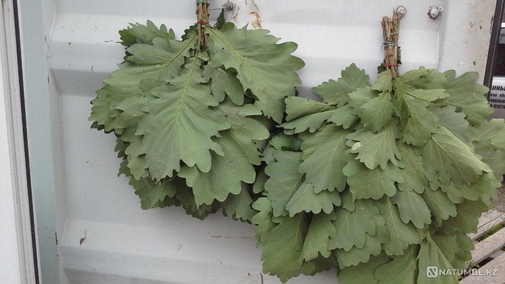 Oak bath broom Vladivostok - photo 1