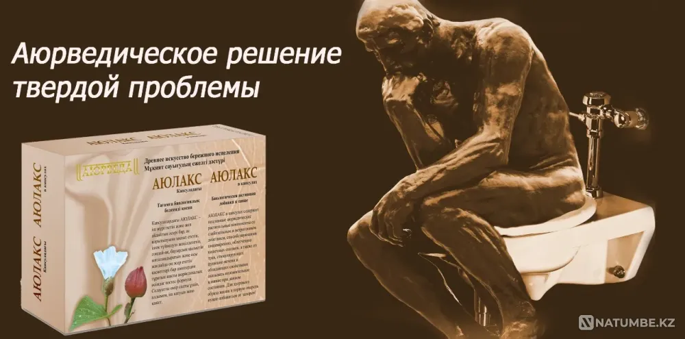 Аюлакс №60, капсулы от запора Алматы - изображение 2