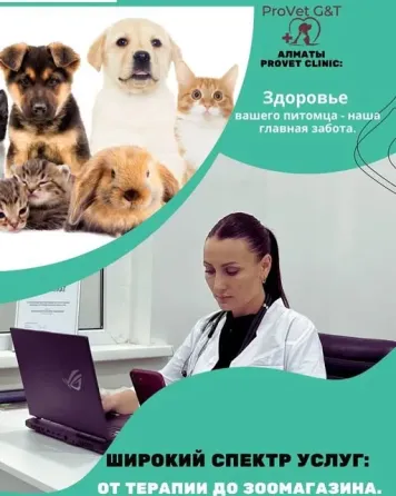 ProVet Clinic в Алматы Алматы