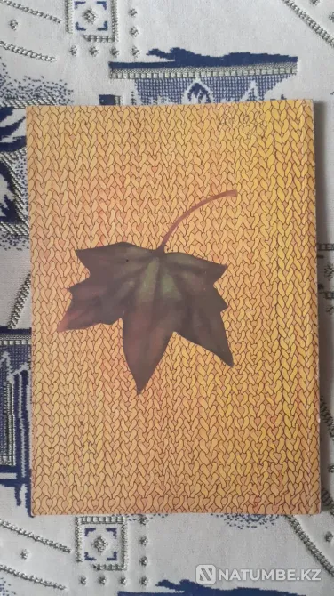 Szymanska I. Dzianina na jesien zycia Kostanay - photo 5