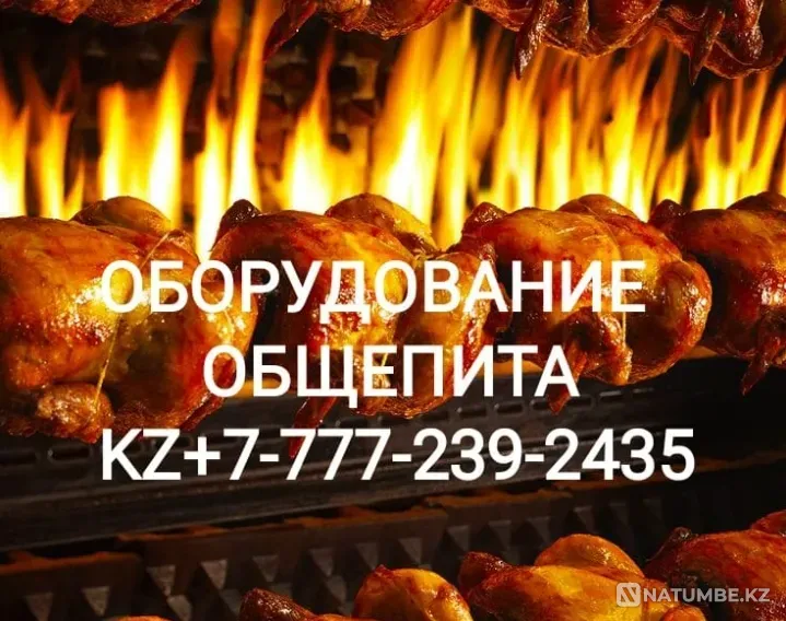 Печь для пиццы XTS F2/60 XA PS (X44/36 Алматы - изображение 2