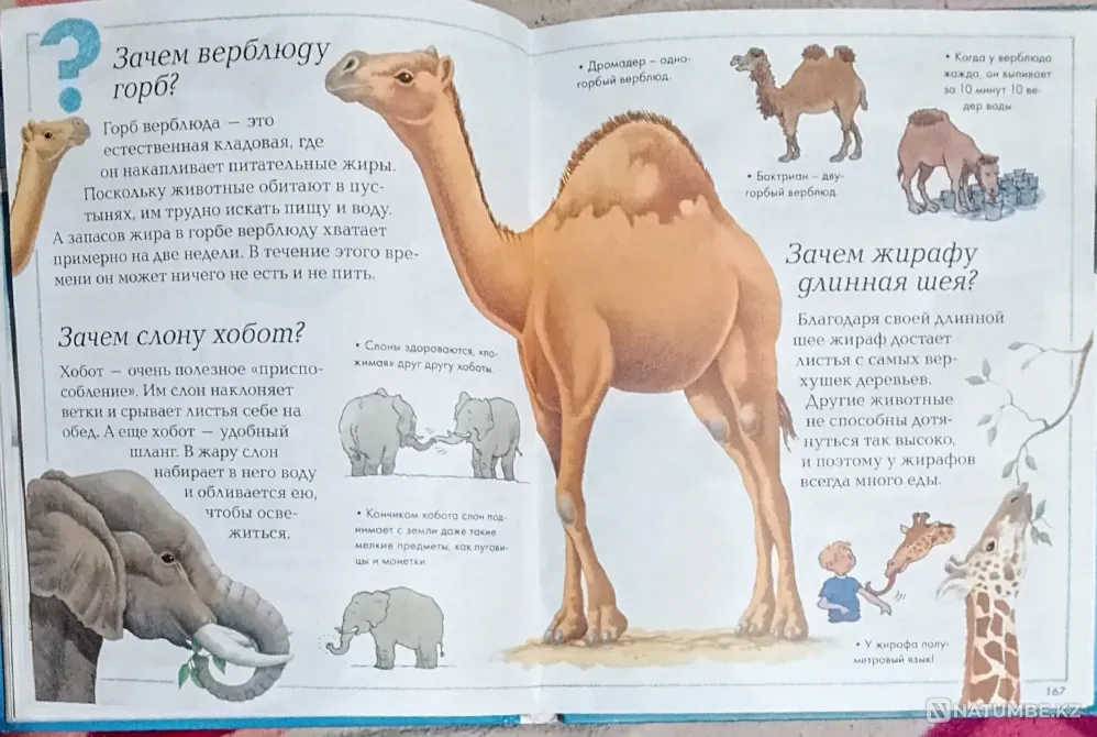 I am selling an encyclopedia for the curious Karagandy - photo 5