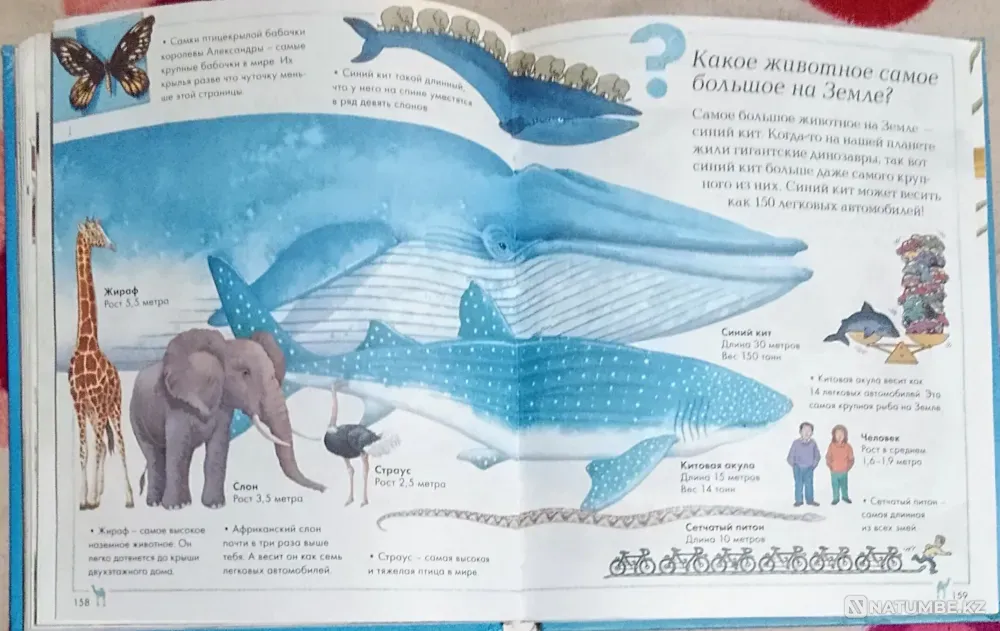 I am selling an encyclopedia for the curious Karagandy - photo 6