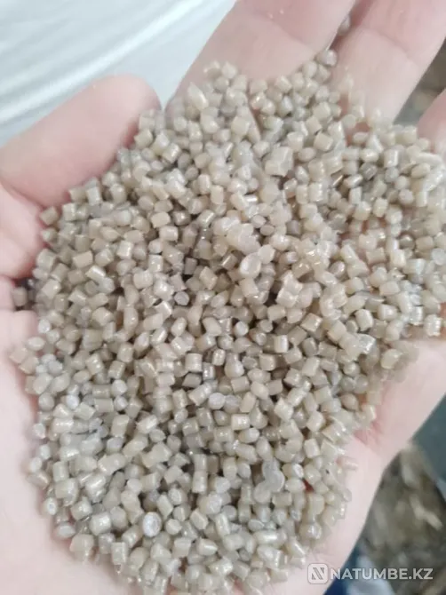 Stretch granule secondary Chekhov - photo 1