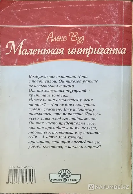 Панорама романов о любви Караганда - изображение 3