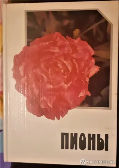 Пионы, альбом-справочник, Ипполитова, 19 Костанай - изображение 1