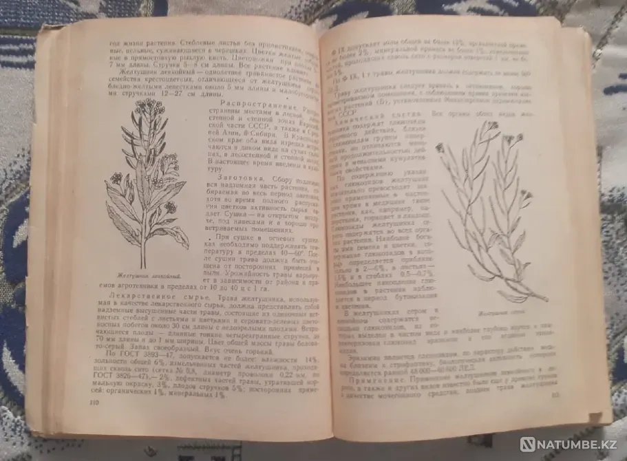 Обухов А. Лекарственные растения 1965г Костанай - изображение 3