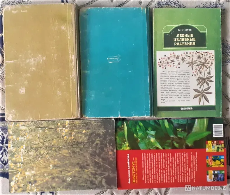 Book Medicinal Plants Kostanay - photo 2