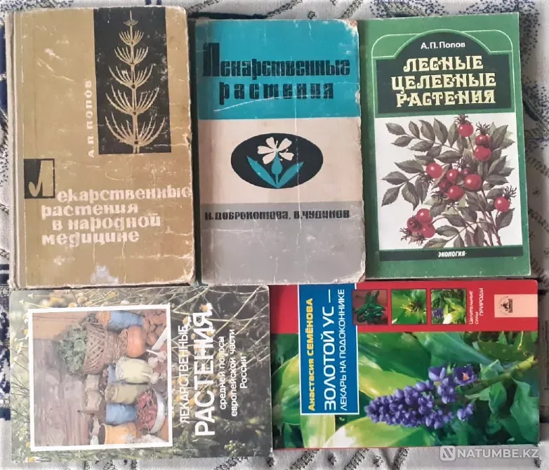 Book Medicinal Plants Kostanay - photo 1