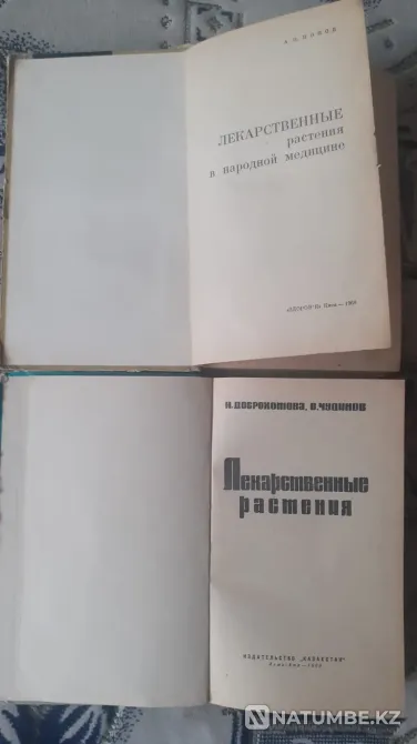 Book Medicinal Plants Kostanay - photo 3