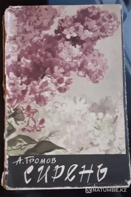 Сирень" Громов А. 1963г. Малый тираж Костанай - изображение 1