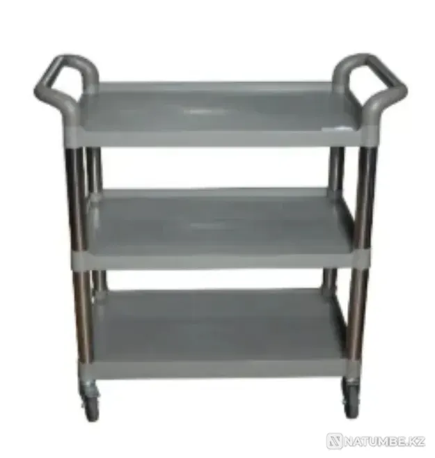 Plastic trolley DimensionsLength (mm) Almaty - photo 1