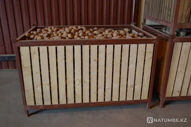 Potato storage container and more Moscow - photo 1