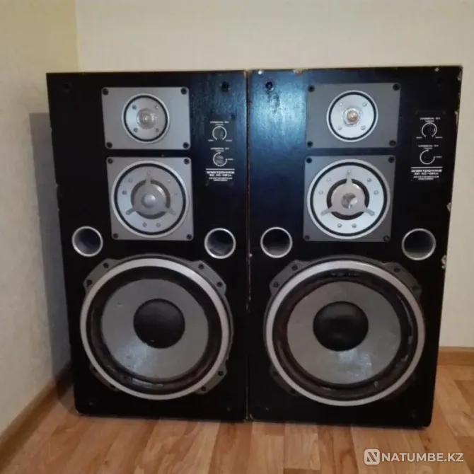 Акустика Электроника 50ас-061м Астана - изображение 1