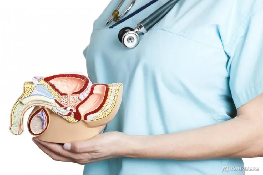 We will teach you how to do urological massage Almaty - photo 1