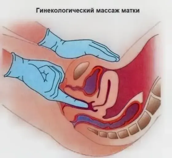 Курс по гинекологическому массажу для массажистов с медобраз Алматы
