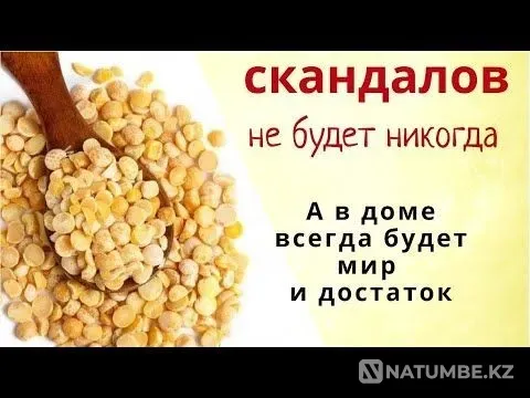 Temirtau! Harmony in the Family! I'll Remove Scandals Temirtau - photo 1