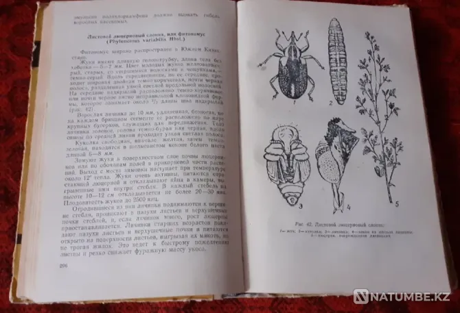 Handbook of agricultural pest control Kostanay - photo 5