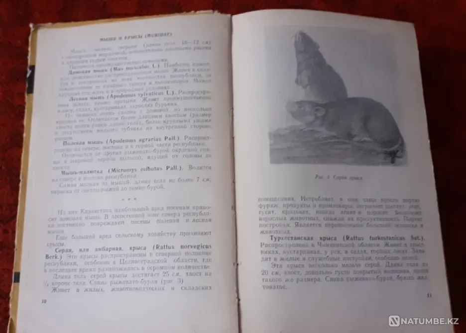 Справочник по борьбе с вредителями сельс Костанай - изображение 4