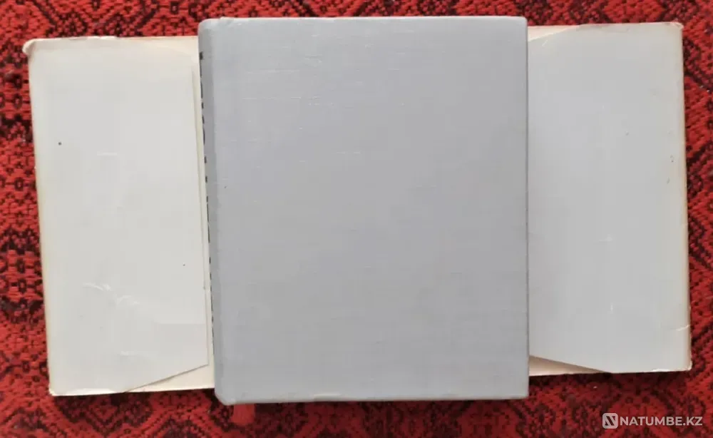 Mini book Bergholz Voice 1985 Kostanay - photo 2